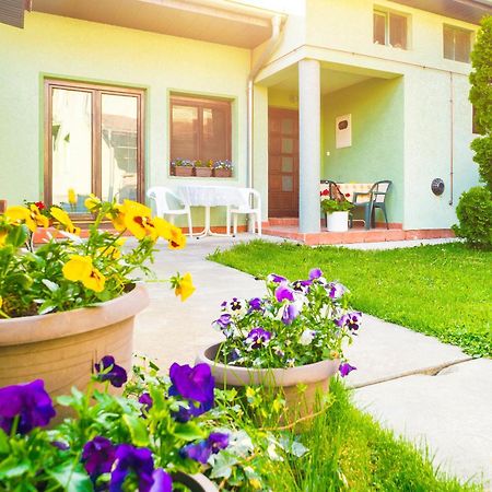 Apartmani Slavica Ягодина Екстер'єр фото